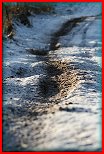 SNOW CROSS 29.12.2009
